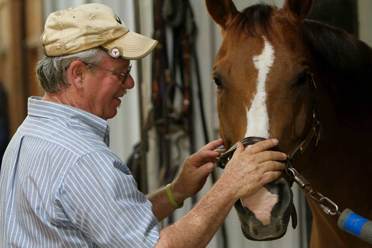 The 'Hooves for Heroes' Program